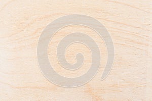 Light texture of birch plywood, abstract background
