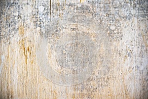 Light texture of very old wood with a blurring effect in some places