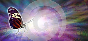 The light touch of a butterfly