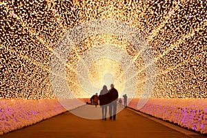 Light tunnel in winter illumination, Mie, Japan