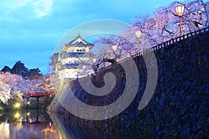Light up of Hirosaki castle and cherry blossoms