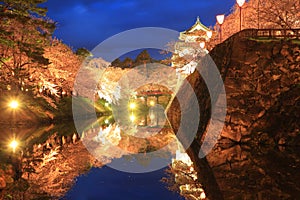 Light up of Hirosaki castle and cherry blossoms