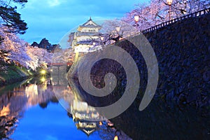 Light up of Hirosaki castle and cherry blossoms photo