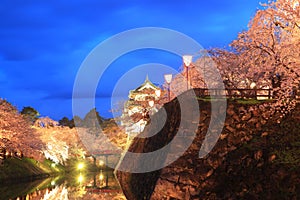 Light up of Hirosaki castle and cherry blossoms photo