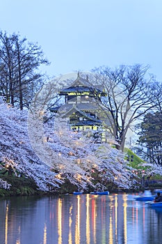 Light up of Takada Castle and Cherry blossoms