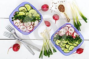 A light vitamin spring - summer salad with fresh cucumbers, radish and green onions