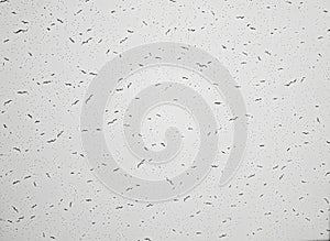 Light Wall Texture Background