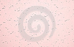 Light wall texture background with subtle speckled pattern.