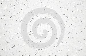 Light Wall Texture Background close up