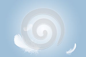 Light of white feather floating in the sky.