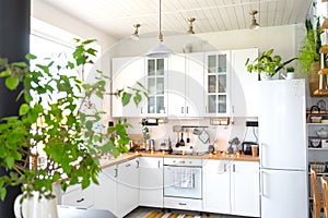 Light white modern rustic kitchen decorated with potted plants, loft-style kitchen utensils. Interior of a house with homeplants