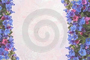 Light white toned colorful trendy painted pink-lilac textured background with wild forested lungwort.