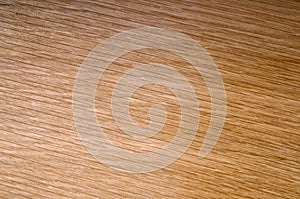 Light wood background