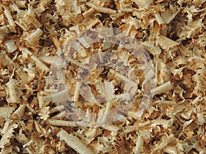 Light wood chips