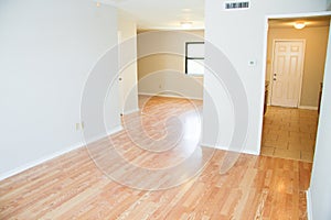 Light Wood Flooring Vynal Planks