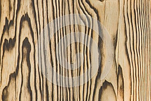 Light wood surface with natural black charred burnt patterns design decorative decoration decor texture timber background