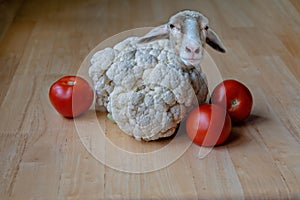 On a light wood table snack from lamb, cauliflower and tomatoes. Photo Collage