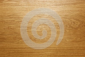 Light wood texture photo