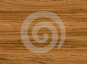 Light wood texture background surface with old natural pattern. wooden texture