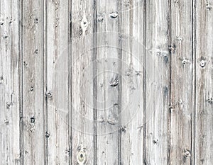 Light wood texture background. White gray color.