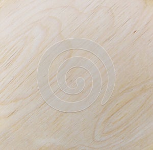 Light wood texture, may use as a background.