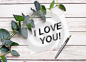 On a light wooden table, there is a eucalyptus branch, a fountain pen and a sheet of paper with the text I LOVE YOU