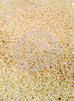 Macro Sand texture