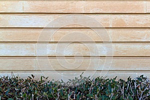 Light yellow stone wall  texture background horizontal orientation