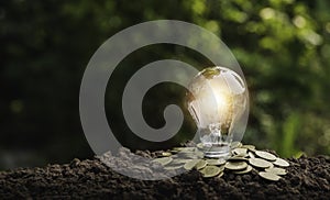Lightbulb with coins concept put on the soil under green nature background