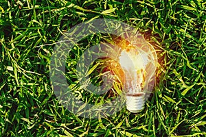 lightbulb on green grass. concept energy