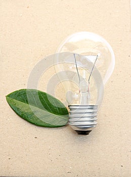 Lightbulb with green leaves