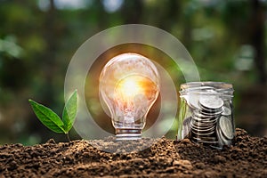 lightbulb with plant growing and money in jug glass on soil in nature. saving energy power. finance accounting concept