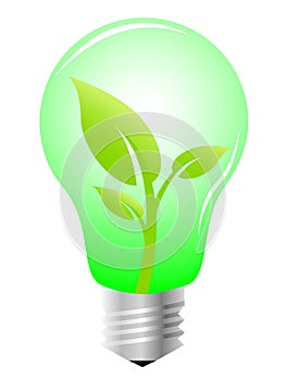 Lightbulb with plant inside