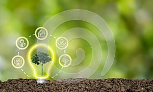 Lightbulb with small growing seedlings on soil  with technology icons  energy sources for renewable, sustainable development,