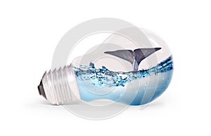 Lightbulb with water and a while diving inside