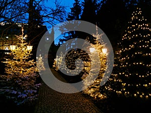 Lighted christmas trees winter passage by night