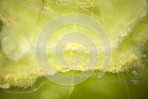 Lightened slices marble onyx. Horizontal image. Warm green colors. Beautiful close up background