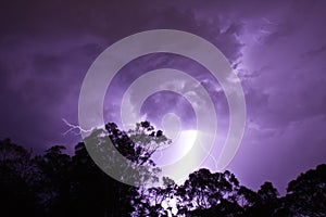 Lightening Strikes behind gumtrees