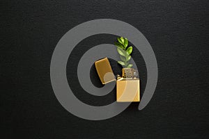 Lighter and green leaf on a black