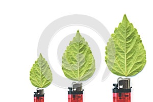 Lighter with green leaf, burn concept