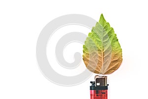 Lighter with green leaf, burn concept