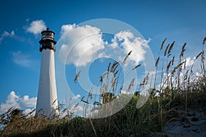 Lighthouse