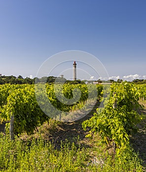 lighthouse of Baleines on Re Island, Charente-Maritime, France