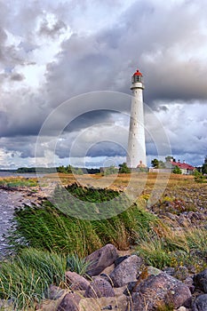 Lighthouse on the Baltic with rowan