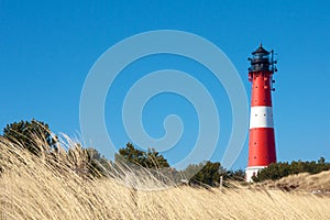 Lighthouse behind beach grass