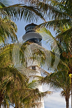 Lighthouse behind trees