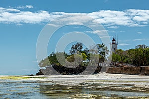 Lighthouse behind trees on a stony shore