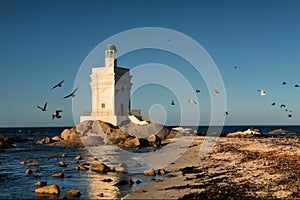 Lighthouse and birds