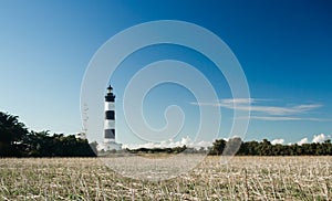 Lighthouse with blue sky and dry field during summer in chassiron, Oleron Island, France.