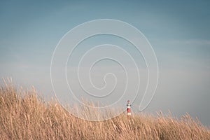 Lighthouse Bornrif Ameland, sea landscape, clear blue cloudy sky in the dunes, high dune grass